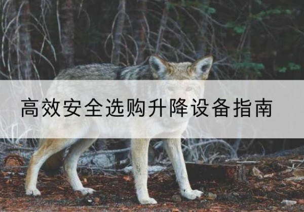阳朔升降货梯厂家推荐-*安全选购升降设备指南