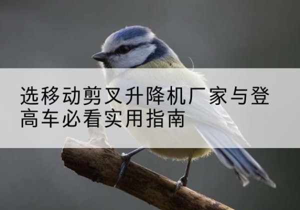 阳朔电动升降机厂家-选移动剪叉升降机厂家与登高车必看实用指南