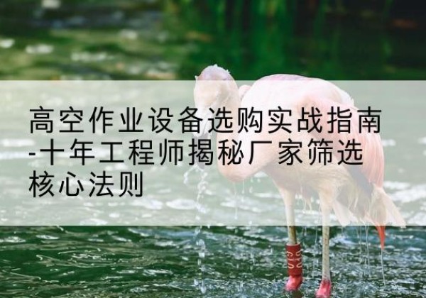 阳朔剪叉式升降机厂家-高空作业设备选购实战指南-十年工程师揭秘厂家筛选核心法则